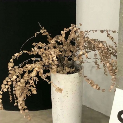 南漳FurryQQ群介绍